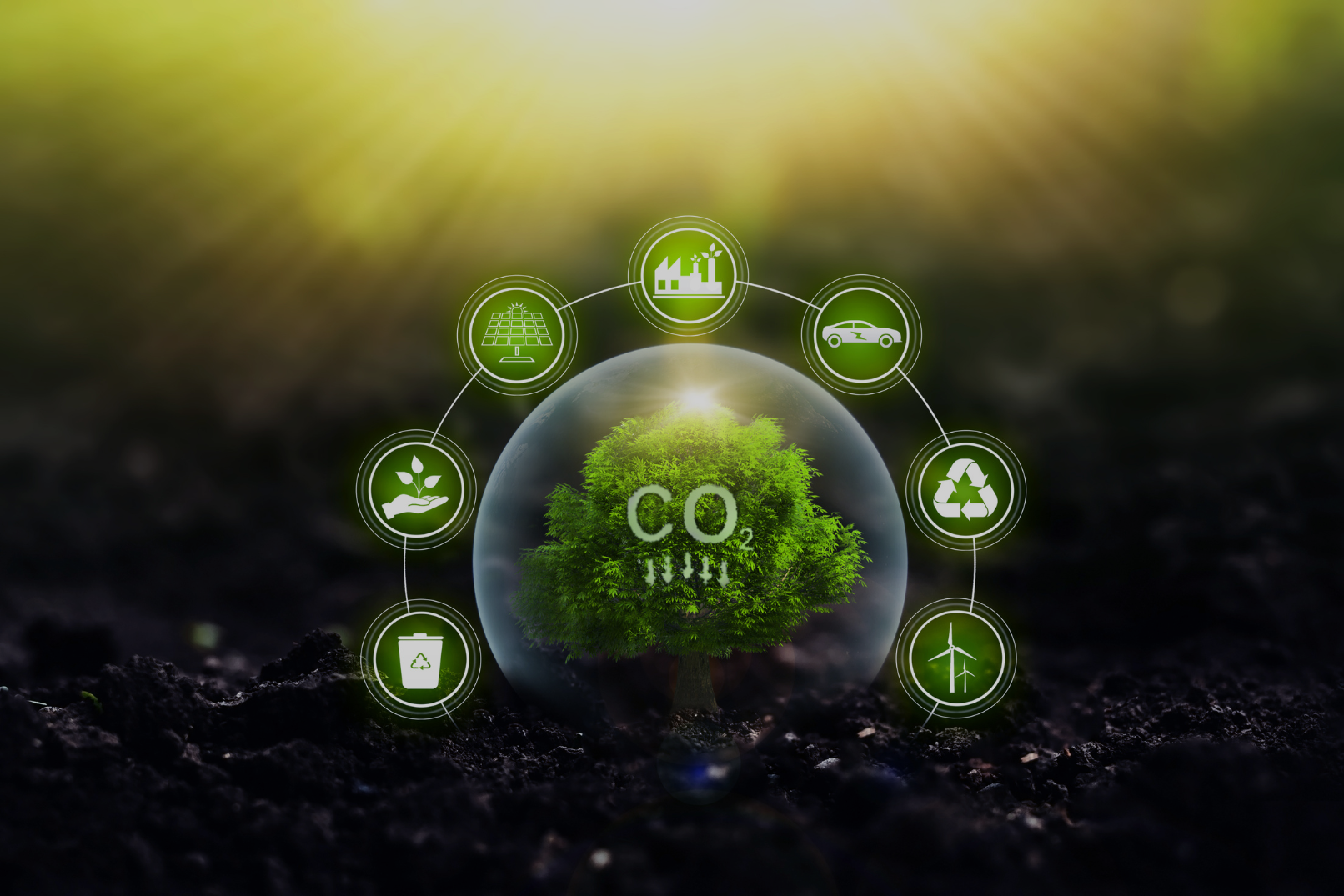 Neues Forschungsvorhaben zu CO₂-Entnahmetechnologien in Deutschland